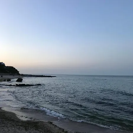 Apart Pearl 19